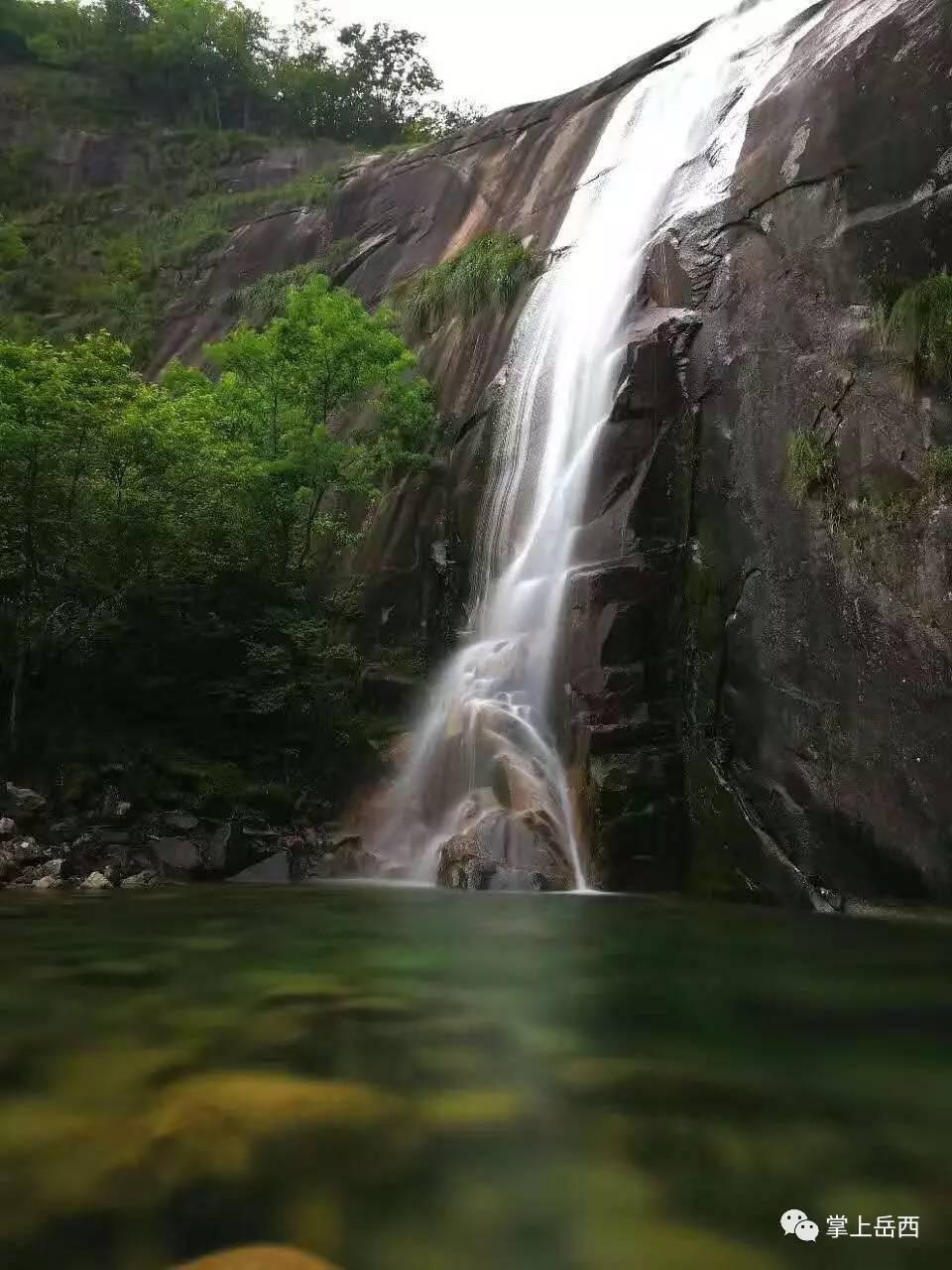 可爱猫咪救援